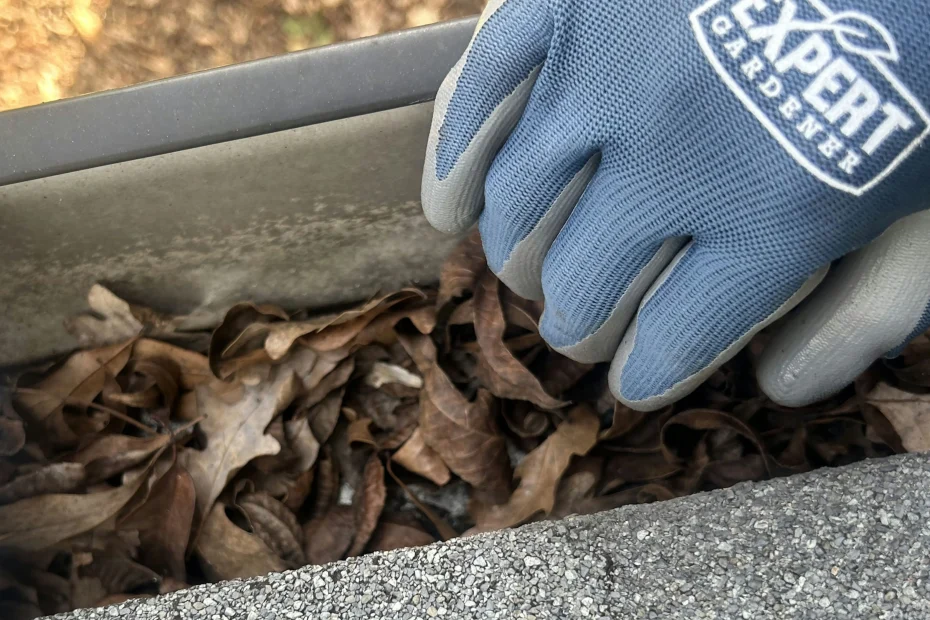 Gutter Cleaning Jeffersonville IN